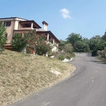 Winehouse Dolcevista