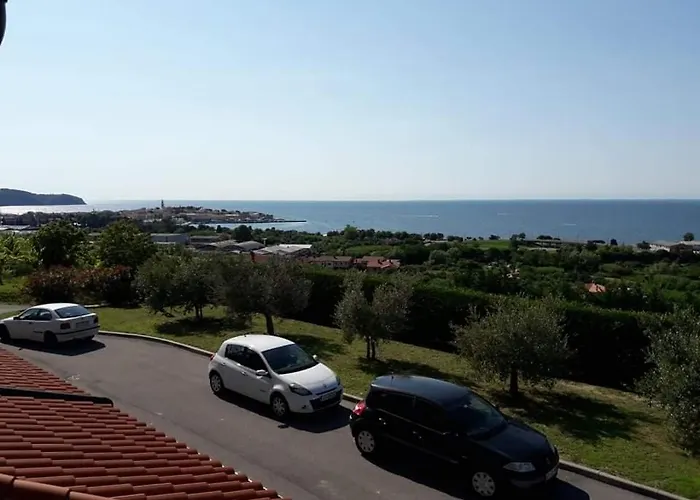 Winehouse Dolcevista * איזולה